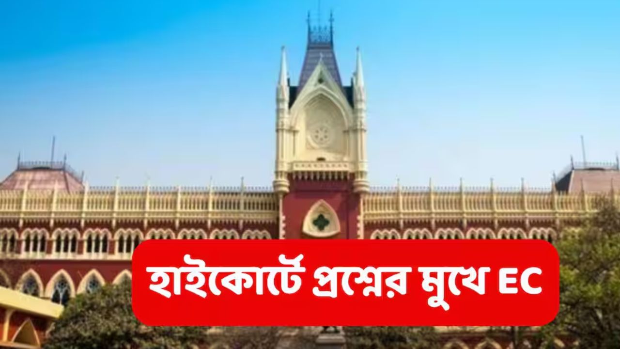 অধ্যাপকদের ভোটের কাজে নিয়োগ নিয়ে হাইকোর্টে প্রশ্নের মুখে নির্বাচন কমিশন, জবাব দিতে নির্দেশ